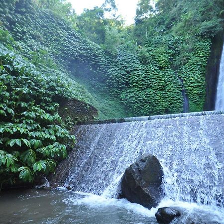 Meme Surung Guesthouse Munduk Exterior foto