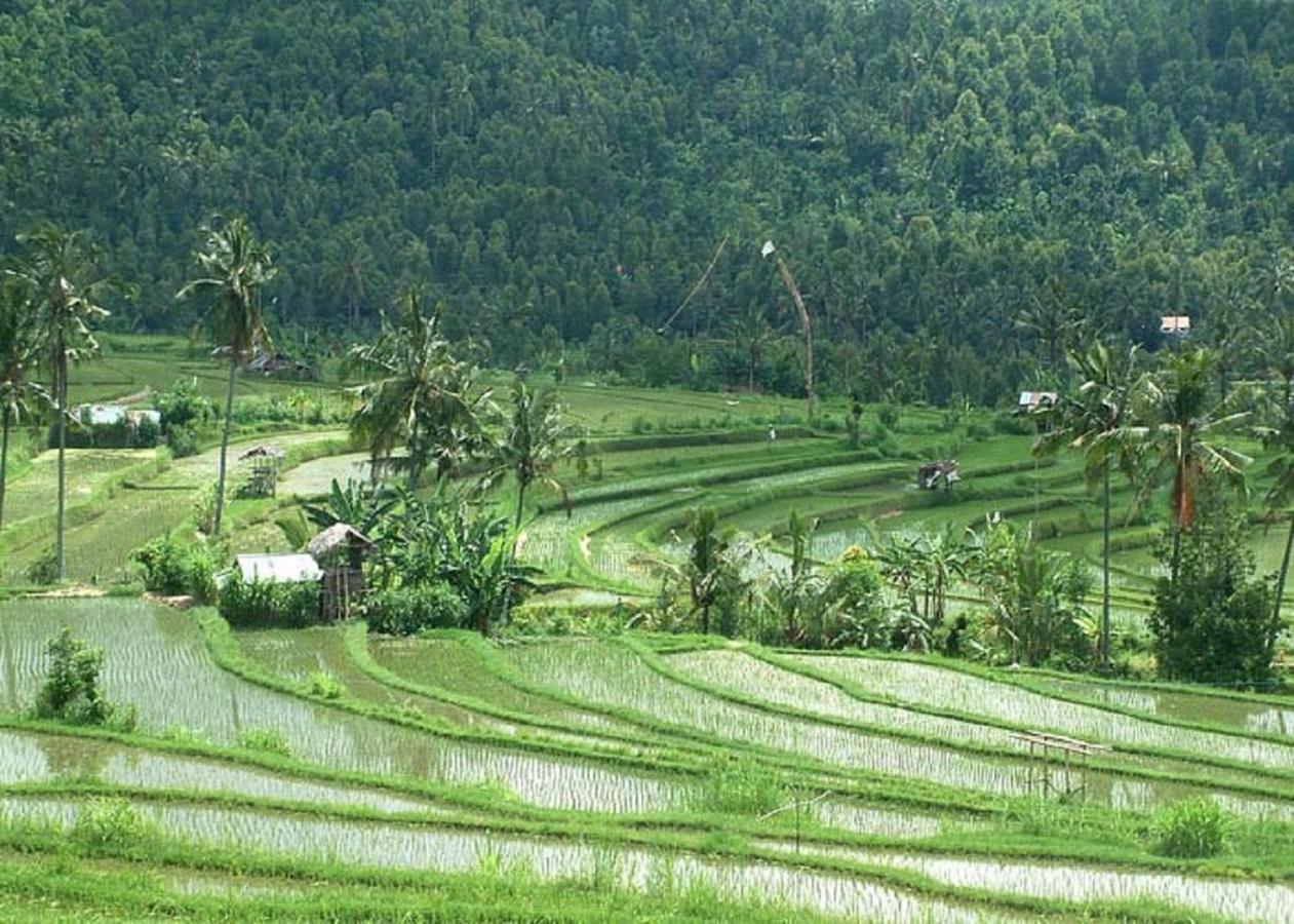 Meme Surung Guesthouse Munduk Exterior foto