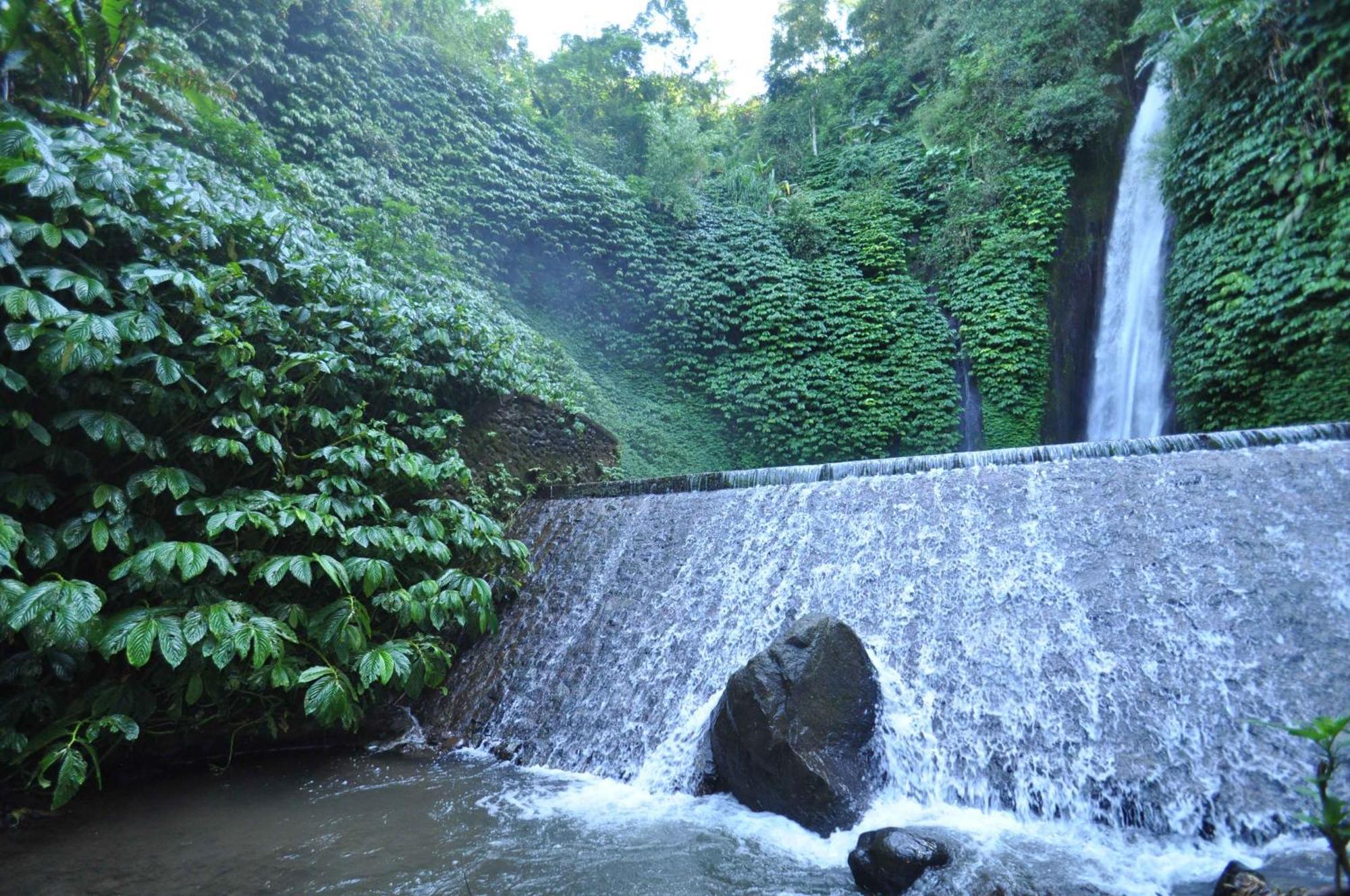 Meme Surung Guesthouse Munduk Exterior foto