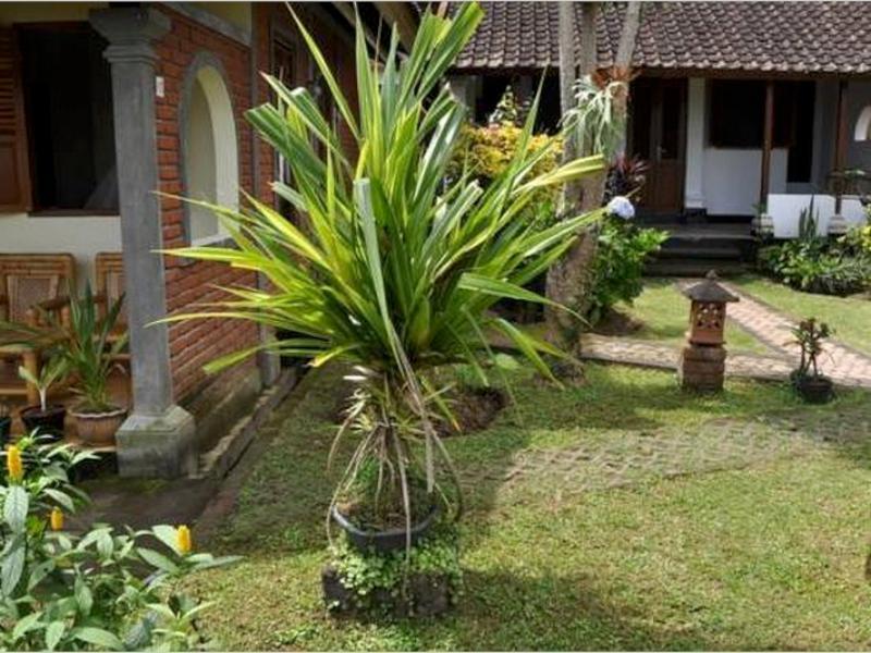Meme Surung Guesthouse Munduk Exterior foto