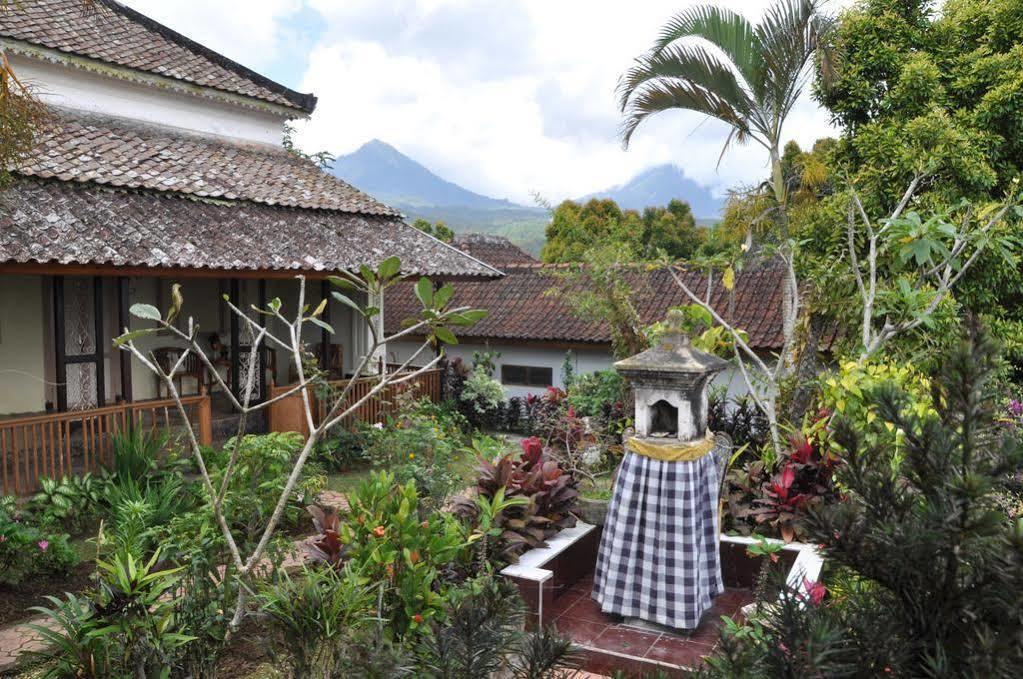 Meme Surung Guesthouse Munduk Exterior foto
