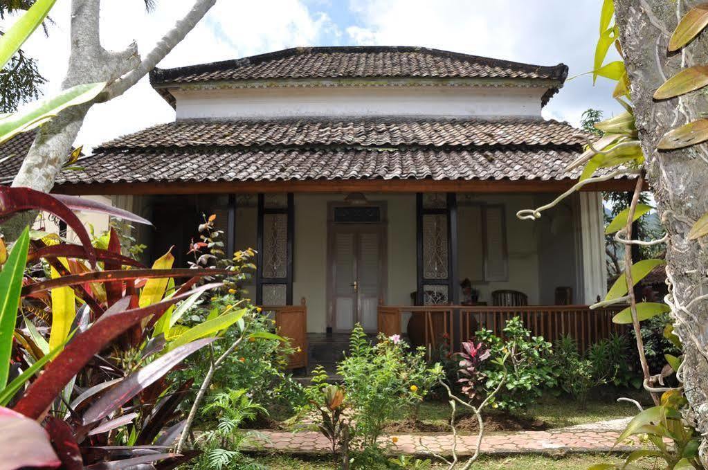 Meme Surung Guesthouse Munduk Exterior foto